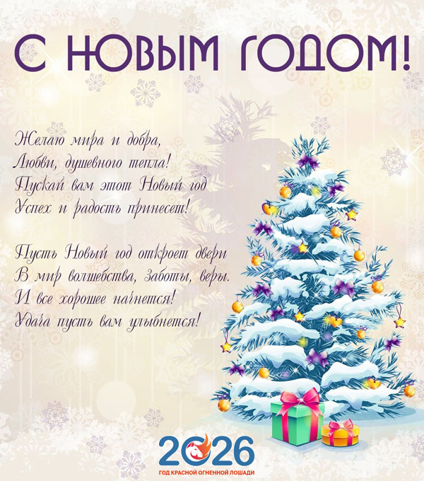 Официальные поздравления с Новым 2026 годом8