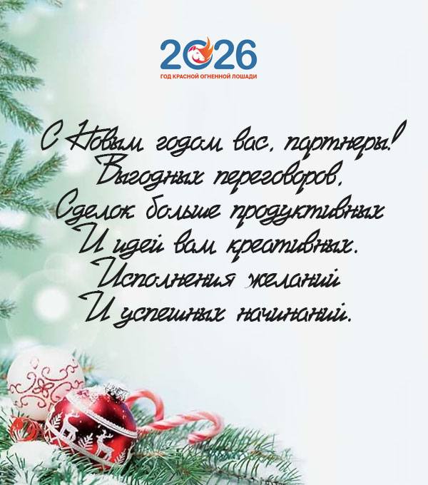 Официальные поздравления с Новым 2026 годом51