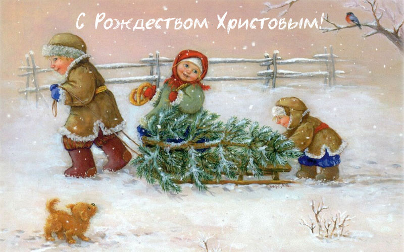 Открытки с Рождеством Христовым в 2026 году8