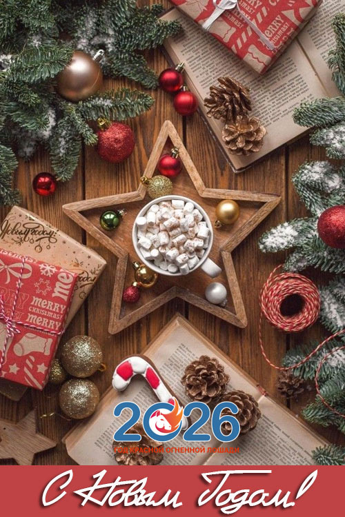 Поздравления с Новым 2026 годом18
