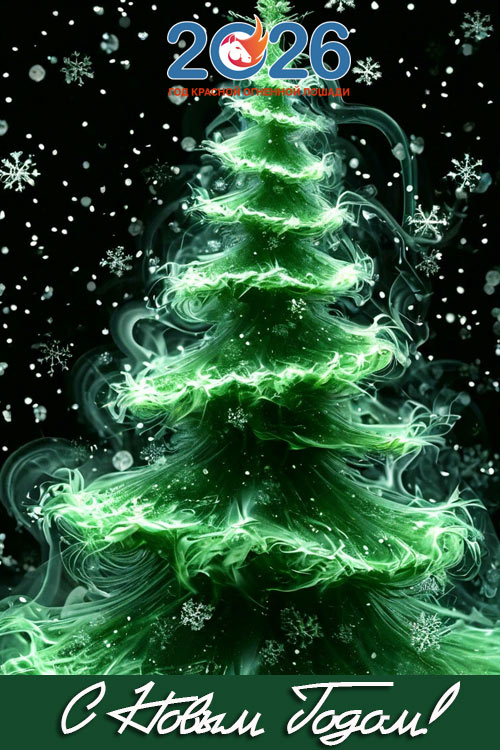 Поздравления с Новым 2026 годом14