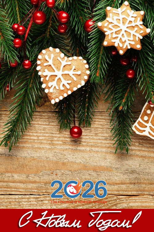 Поздравления с Новым 2026 годом19