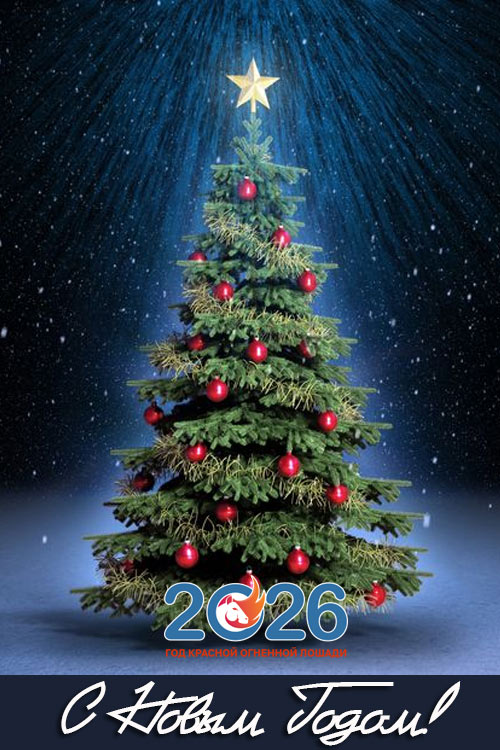 Поздравления с Новым 2026 годом11