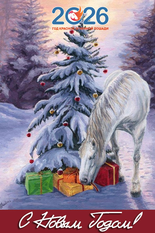 Поздравления с Новым 2026 годом48
