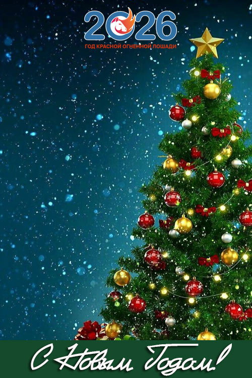 Поздравления с Новым 2026 годом32