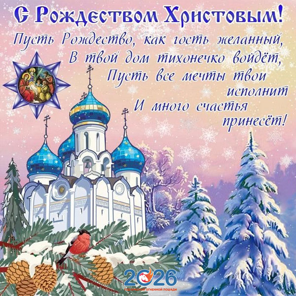 Поздравления с Рождеством в 2026 году в стихах и прозе52
