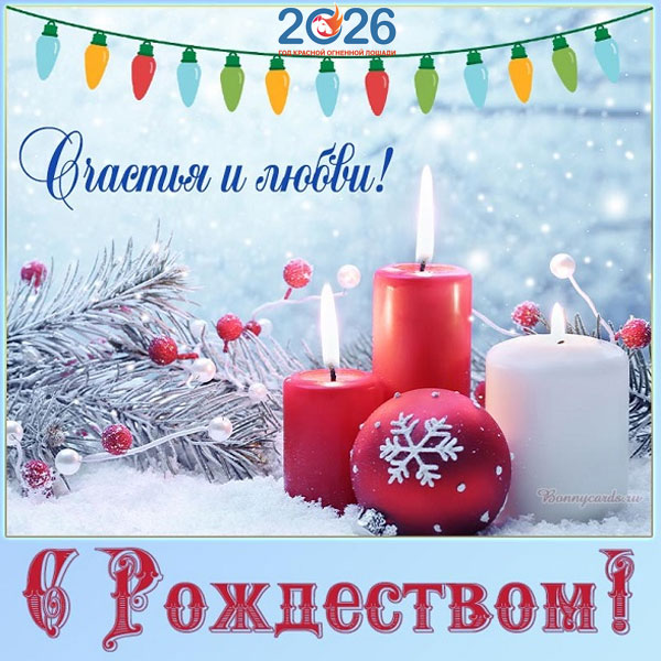 Поздравления с Рождеством в 2026 году в стихах и прозе14