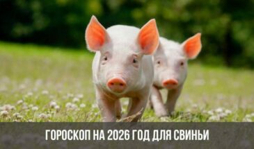 Гороскоп на 2026 год для Свиньи
