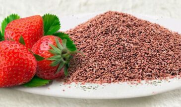 Когда сеять клубнику на рассаду в 2021 году по лунному календарю