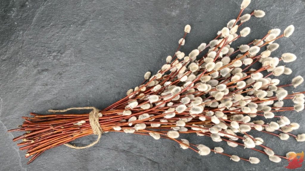 Вербное воскресенье 2026 (13 апреля)1