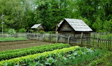 Доски у забора — уже нарушение? Когда дачника могут оштрафовать за хранение стройматериалов на участке