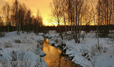 Весна — лучшее время для покупки дачи из-за видимых минусов