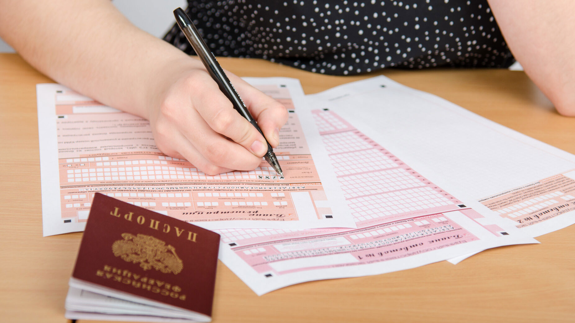 Особенность экзамена по русскому языку в 2026 году