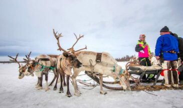 Праздник Севера пройдет в Мурманске в 2026 году