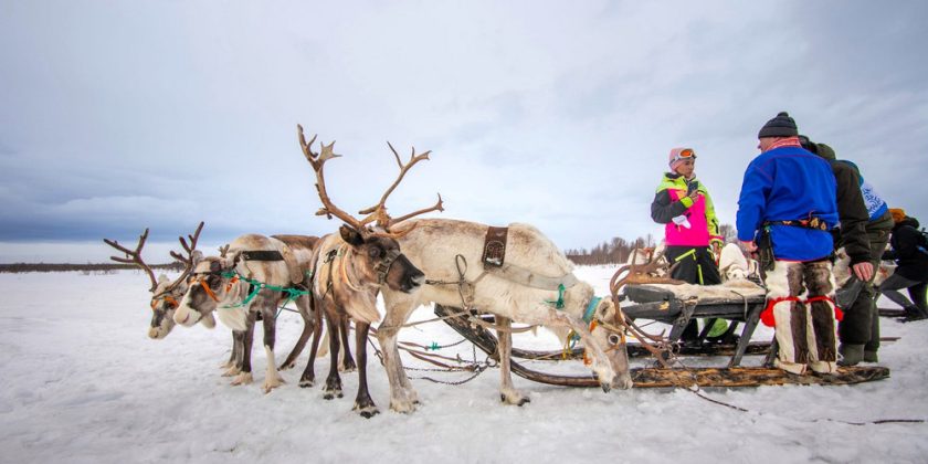 Праздник Севера пройдет в Мурманске в 2026 году0